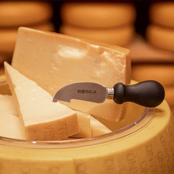 Factice de fromage Parmesan Reggiano, avec plat